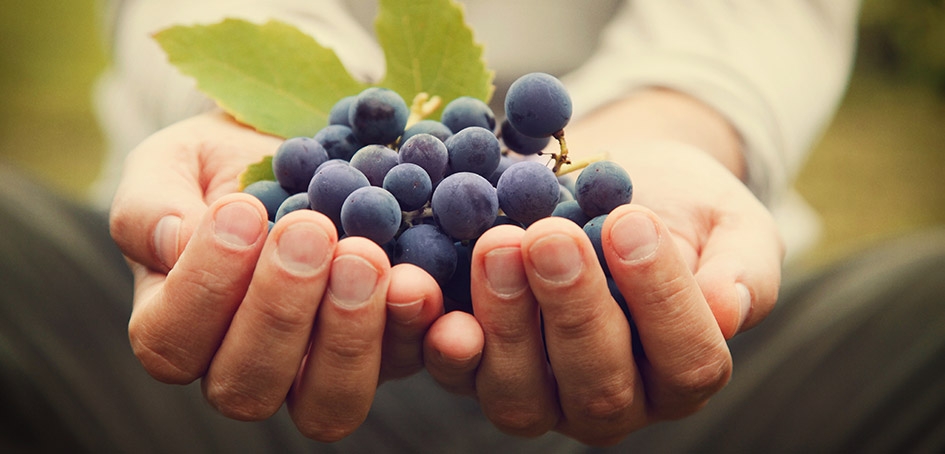 grapes grapes
